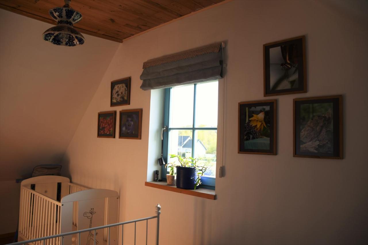 Dom Na Szumiacych Drzew Villa Debina  Exteriör bild